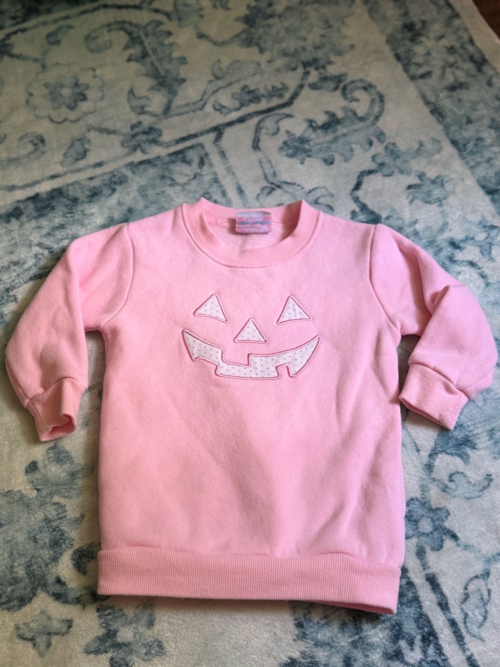 Stitchy Fish Pink Pumpkin Appliqué Sweatshirt
